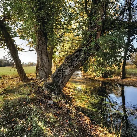 Tatil Evi 3 Bedroom In